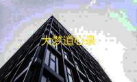 大梦道心录